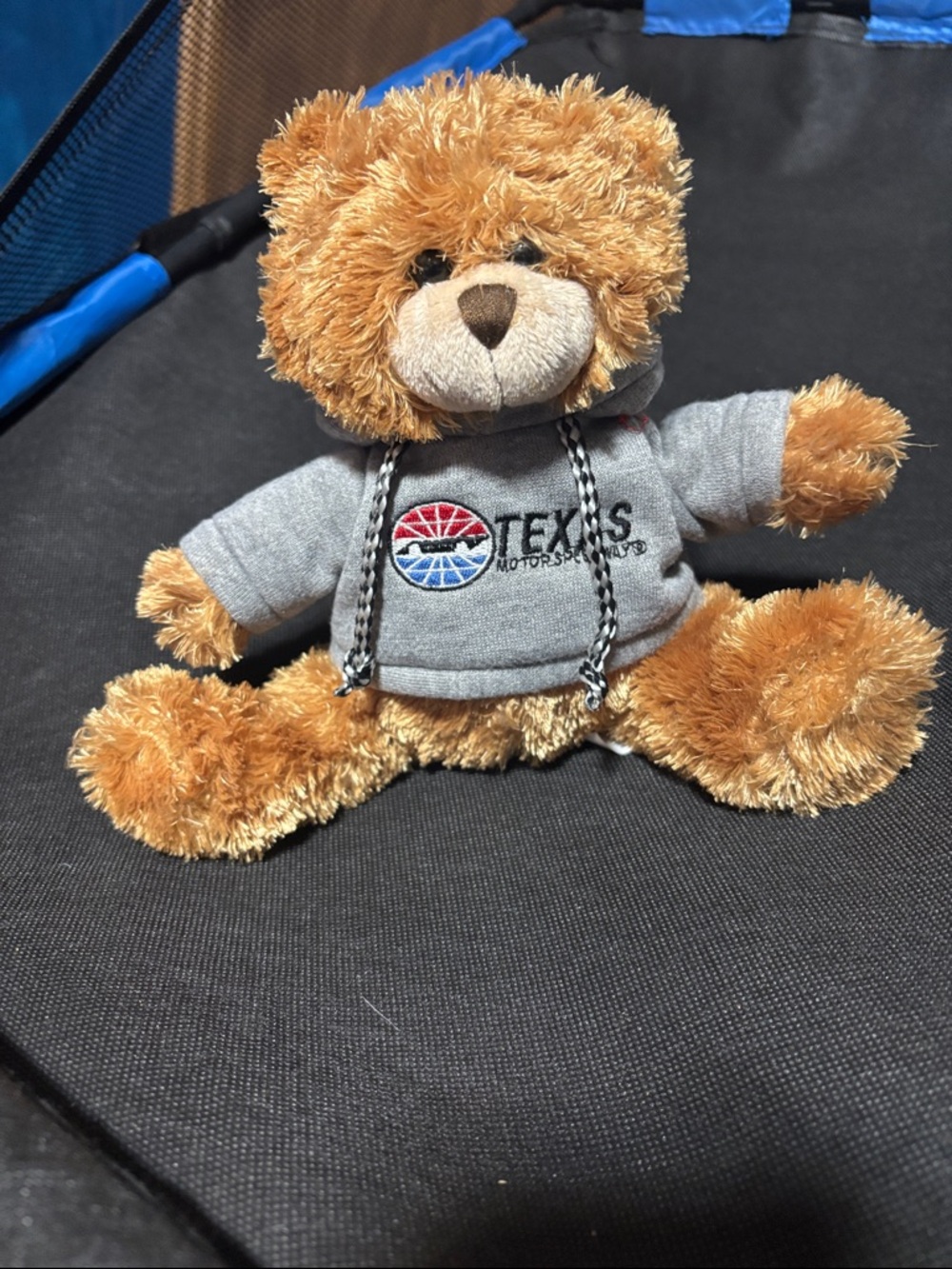 Texas Motor Speedway 8” Bear!